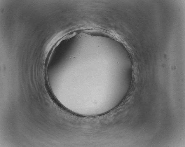 X0000073450007200608111402