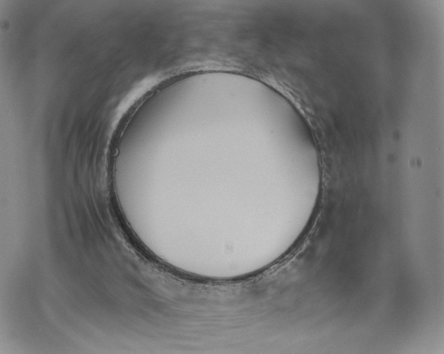 X0000073450008200608111402