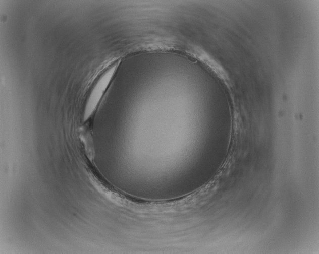 X0000073450009200608111402