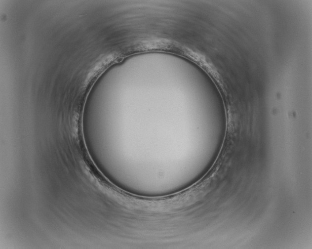 X0000073450010200608111402