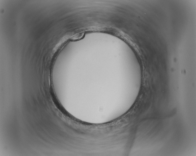 X0000073450011200608111402