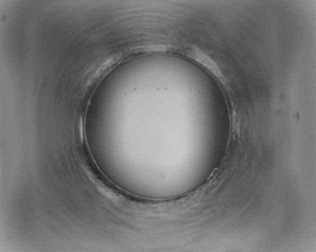 X0000073450013200608111402