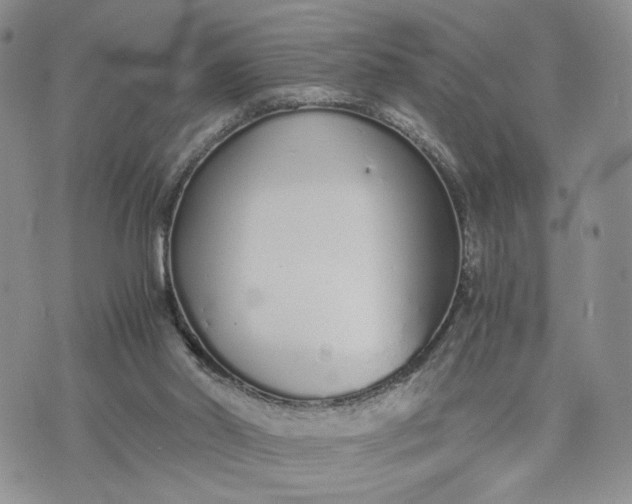 X0000073450014200608111401