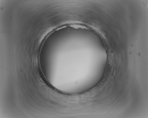 X0000073450015200608111401