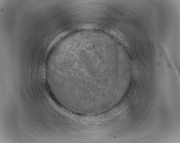 X0000073450016200608111401