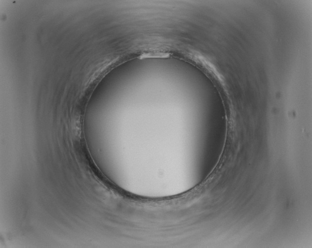 X0000073450017200608111401