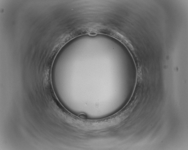 X0000073450018200608111401