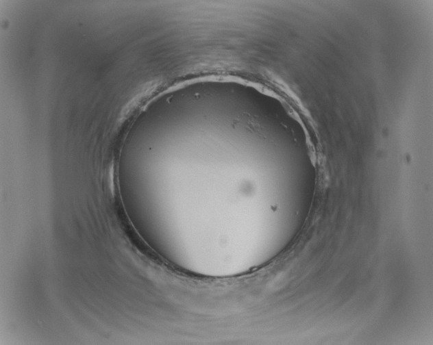 X0000073450019200608111401