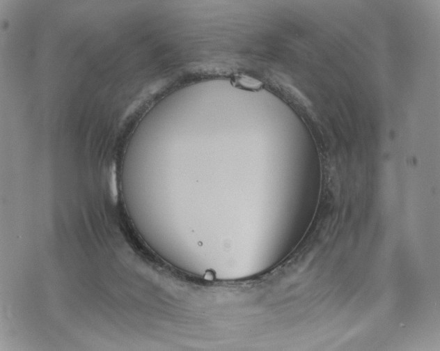 X0000073450020200608111401