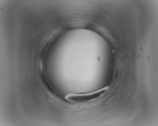 X0000073450021200608111401