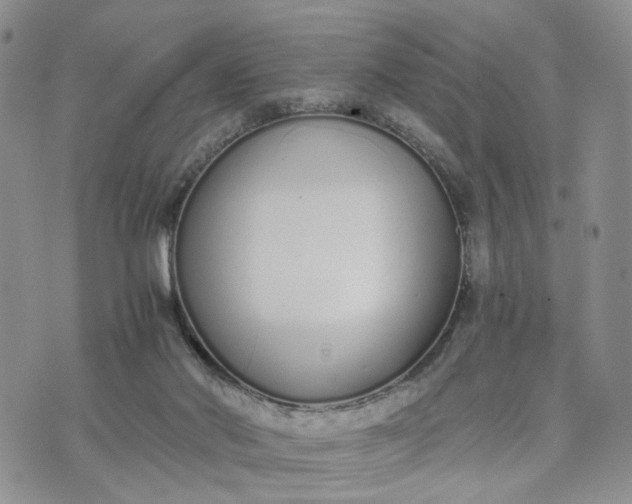 X0000073450022200608111401