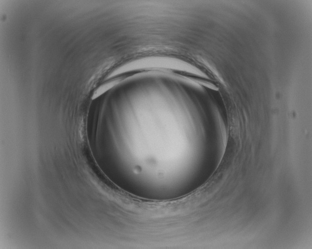 X0000073450023200608111401