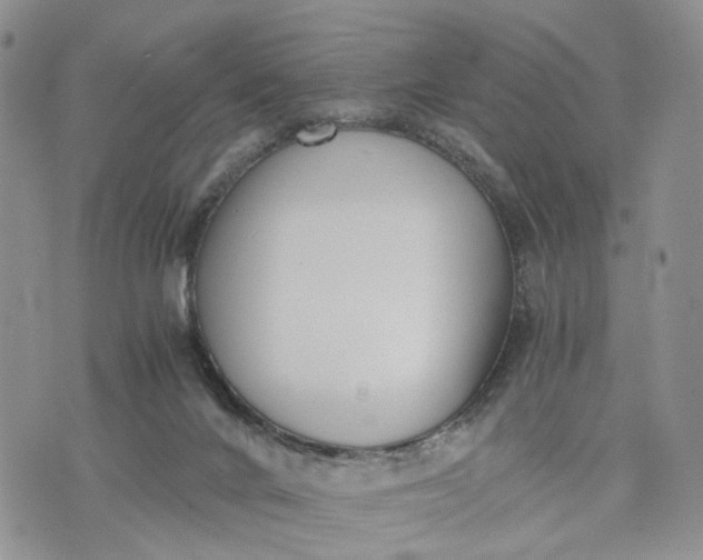 X0000073450024200608111401