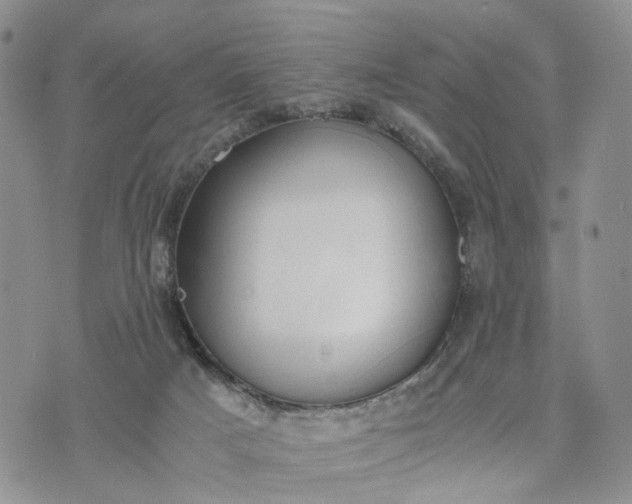 X0000073450025200608111401