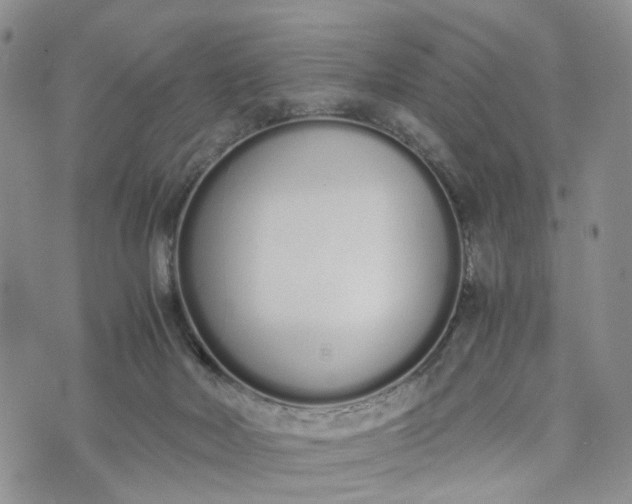 X0000073450026200608111401