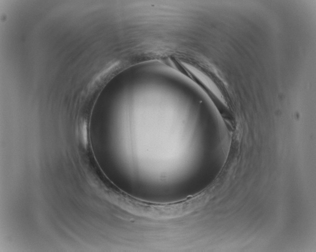 X0000073450027200608111401