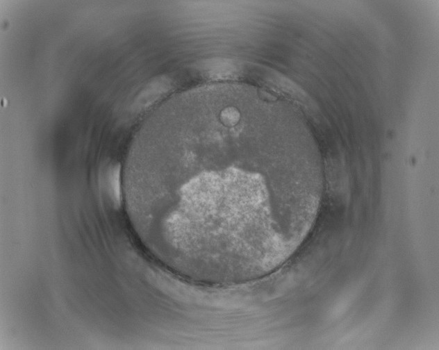 X0000073450028200608111401