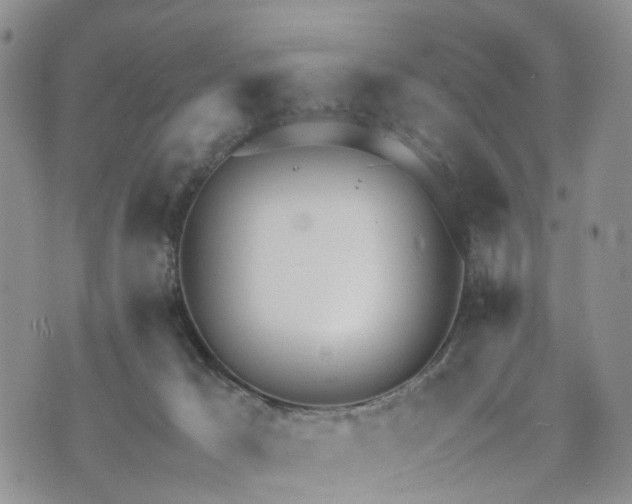 X0000073450029200608111401