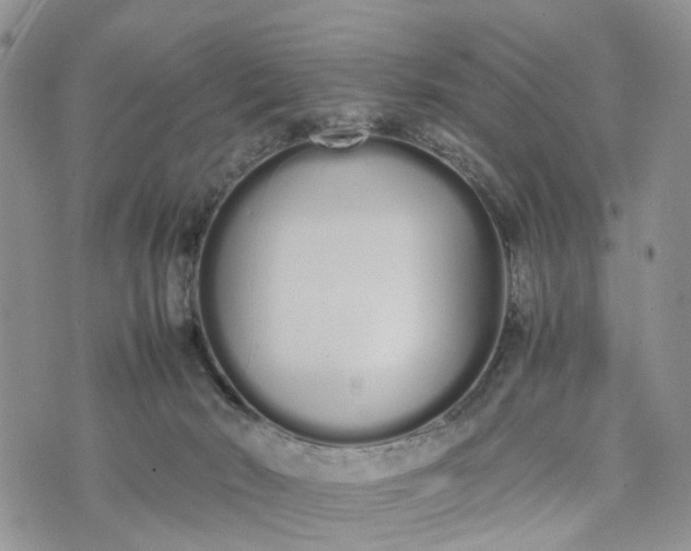 X0000073450030200608111401