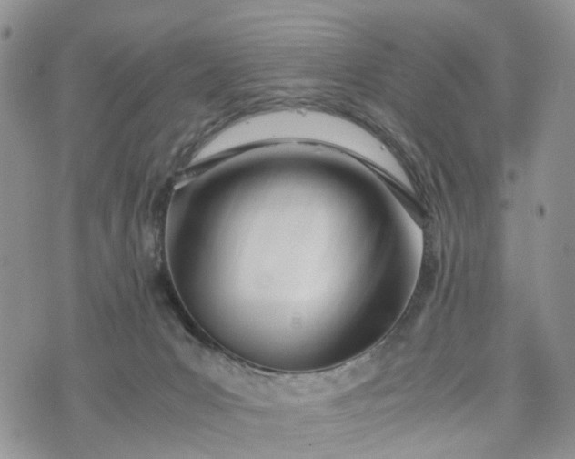 X0000073450031200608111401