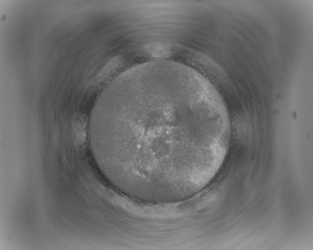 X0000073450032200608111401