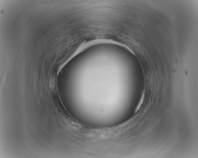 X0000073450033200608111401