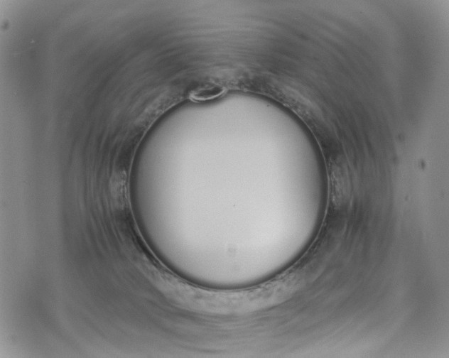 X0000073450034200608111401