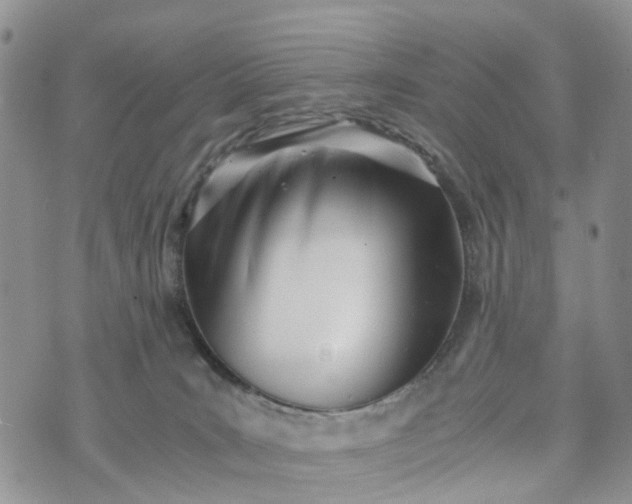 X0000073450035200608111401