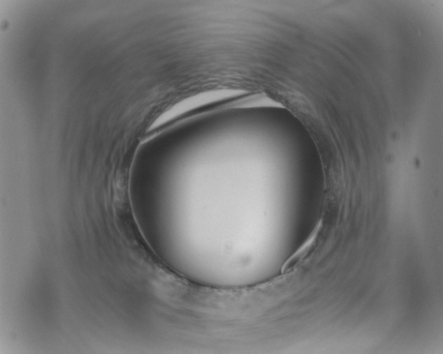 X0000073450037200608111401