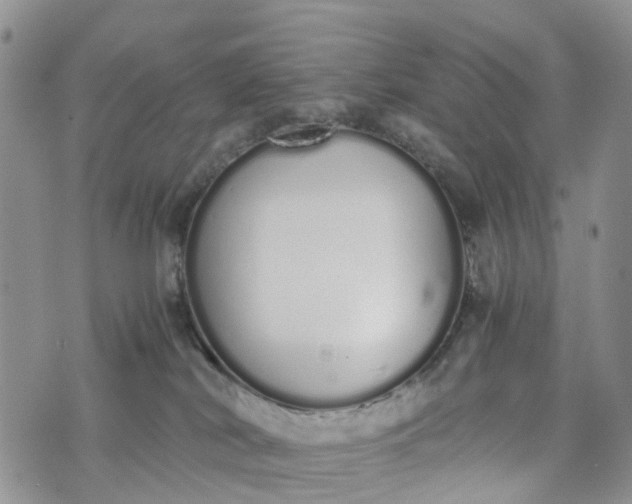 X0000073450038200608111401