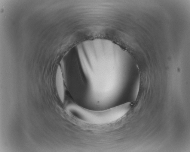 X0000073450039200608111401