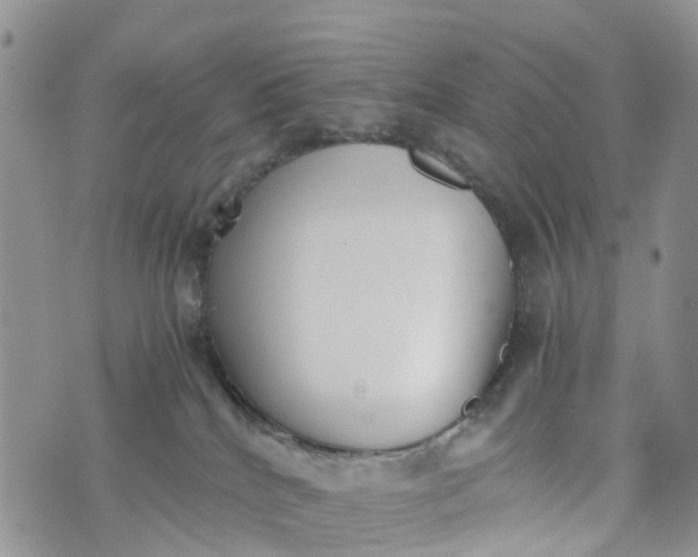 X0000073450040200608111401