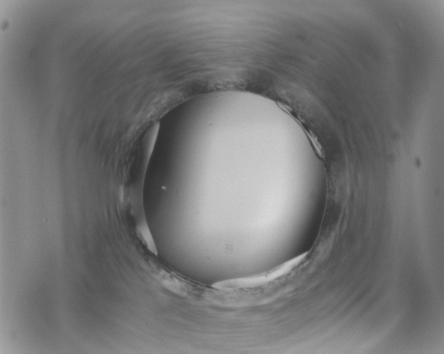 X0000073450041200608111401