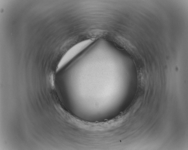 X0000073450042200608111401