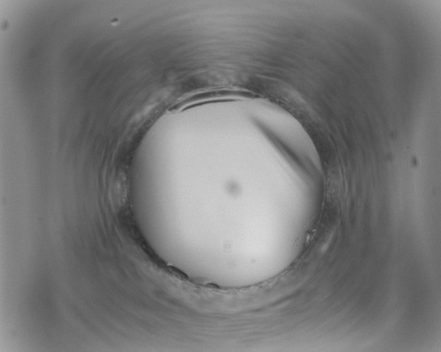 X0000073450043200608111401