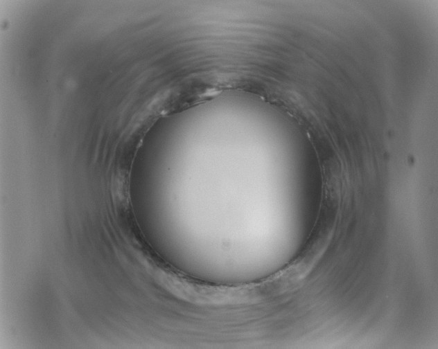 X0000073450044200608111401