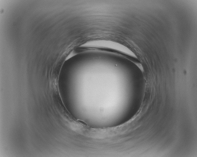 X0000073450045200608111401