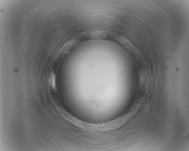 X0000073450046200608111401