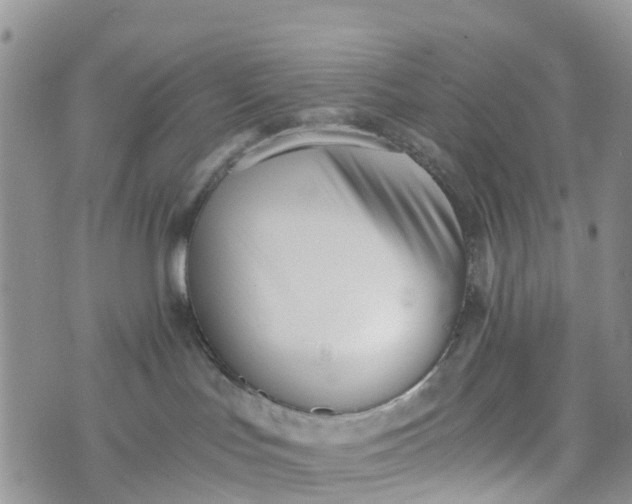 X0000073450047200608111401