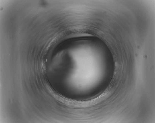 X0000073450048200608111401