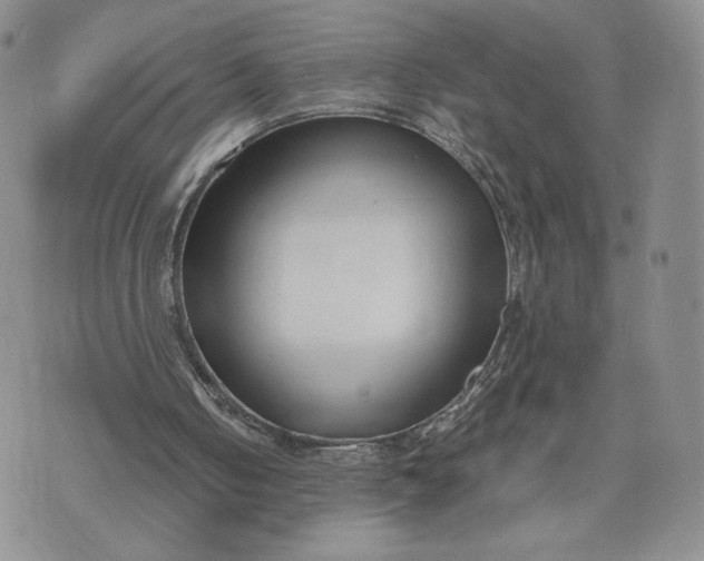 X0000073450050200608111400