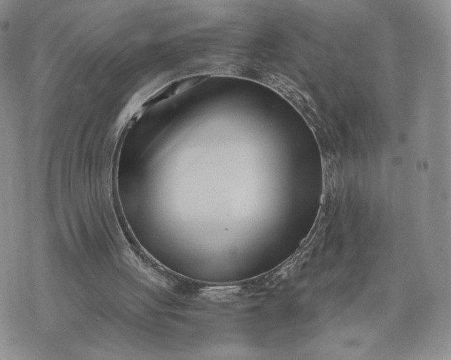 X0000073450051200608111400