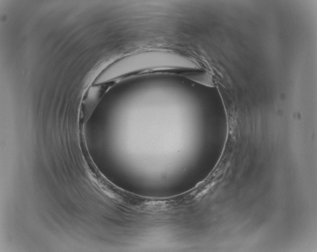 X0000073450052200608111400