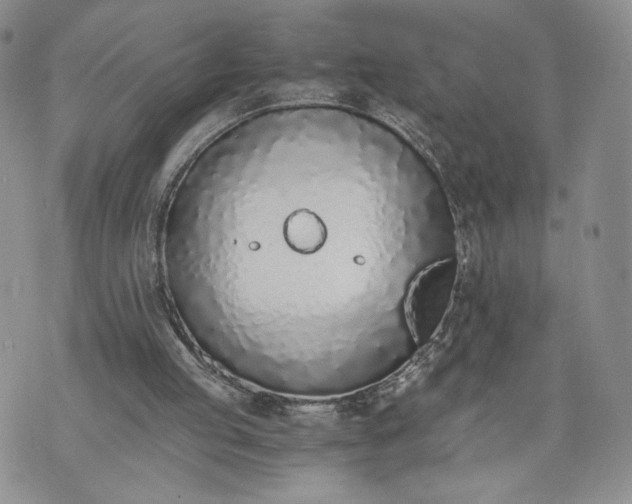 X0000073450053200608111400