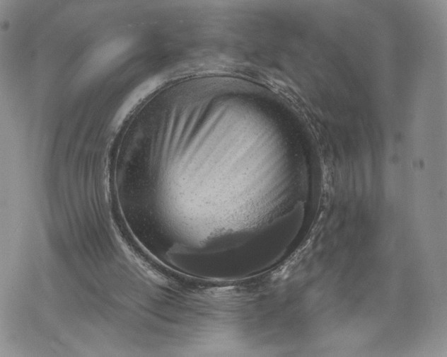 X0000073450054200608111400