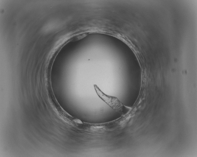 X0000073450055200608111400