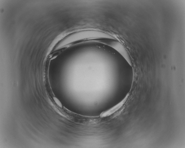 X0000073450056200608111400