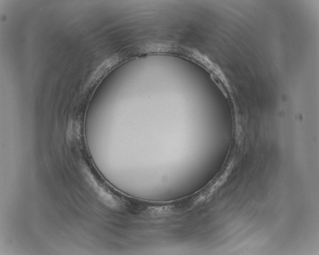 X0000073450057200608111400