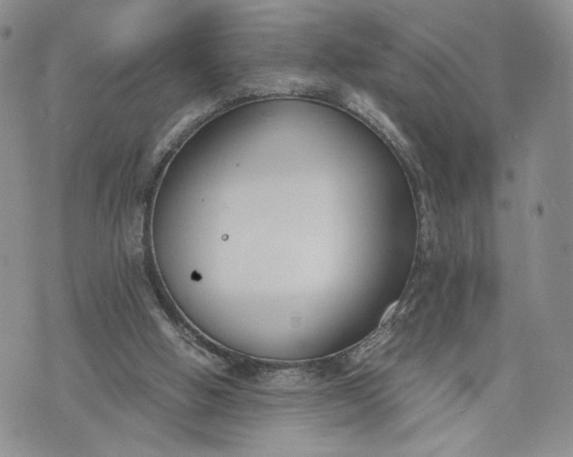 X0000073450058200608111400