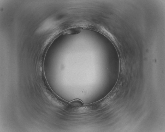 X0000073450059200608111400